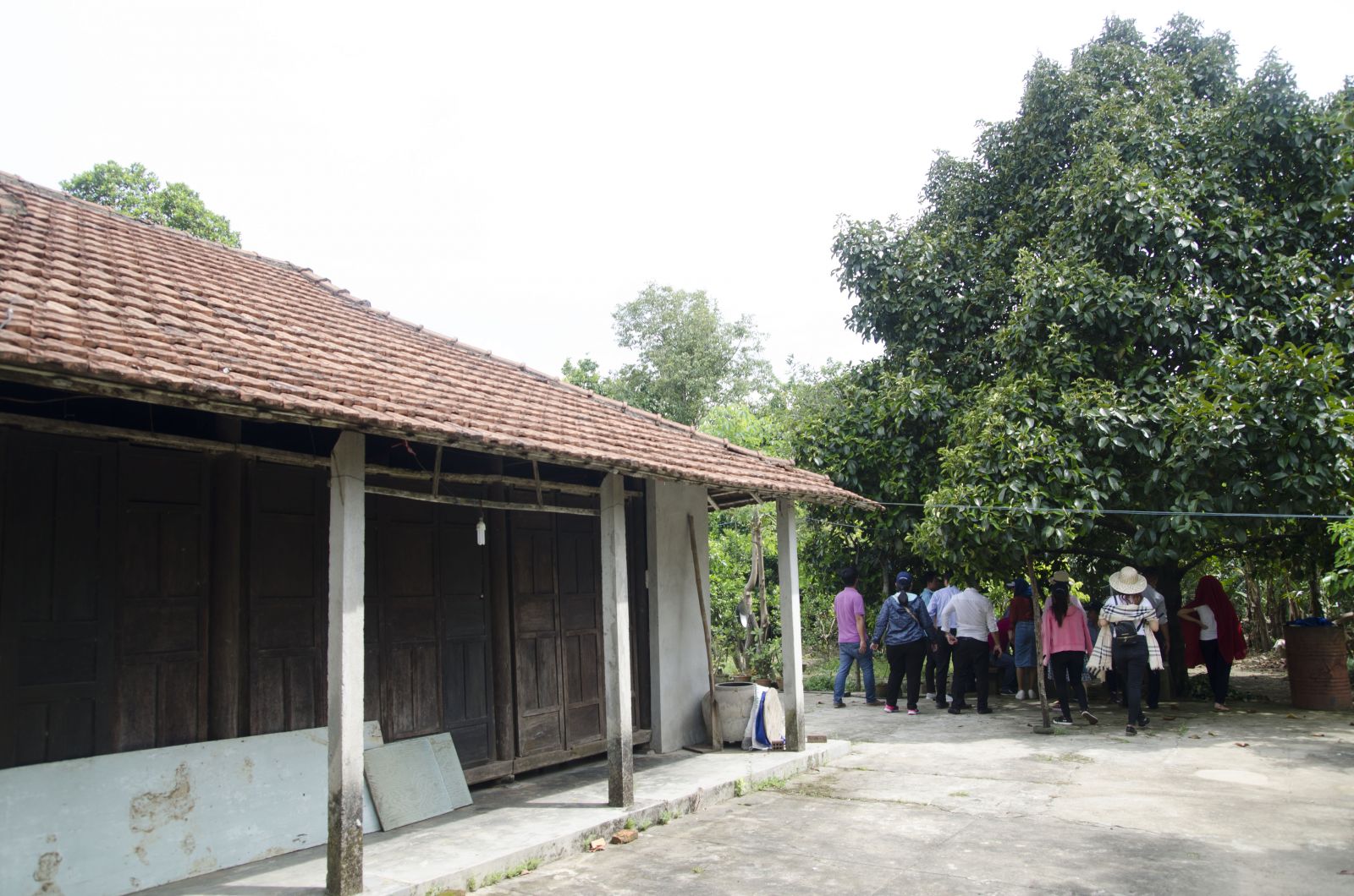 Nhà cổ ở làng Đại Bình
