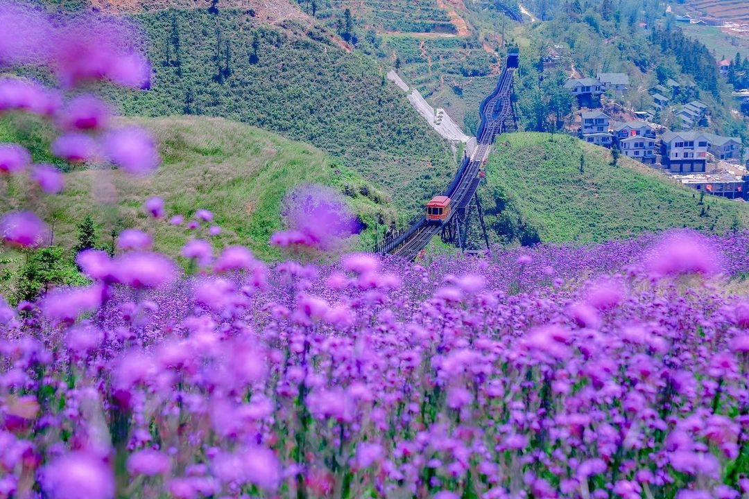du-lich-sapa-thang-9 (1)
